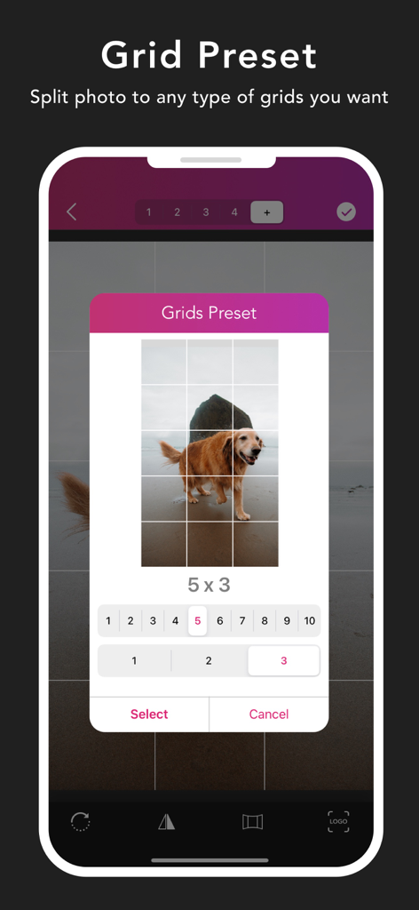 Interfaccia dell'app Griddy Pro che mostra una foto di un cane divisa in un layout a griglia cinque per tre.