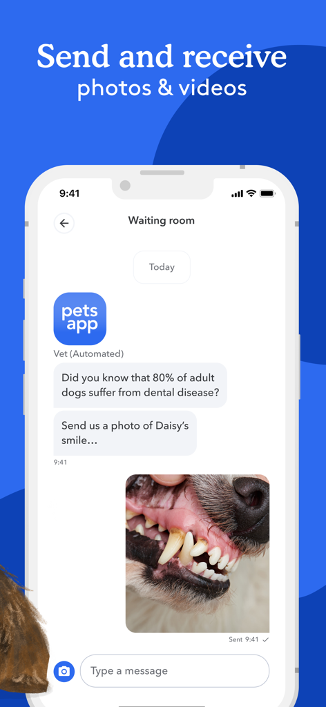 PetsApp - Mobile app interface showing a chat with a vet where a user has shared a photo of their dog's teeth for medical advice.