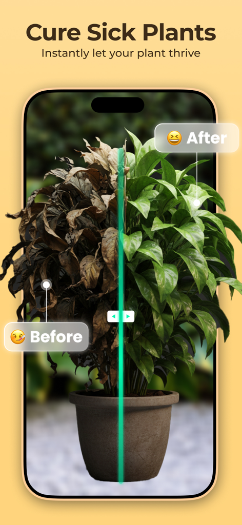 Plantora- Plant Identify, Care - A split screen showing a brown dying plant transformed into a healthy green plant using the Plantora app disease diagnosis feature.