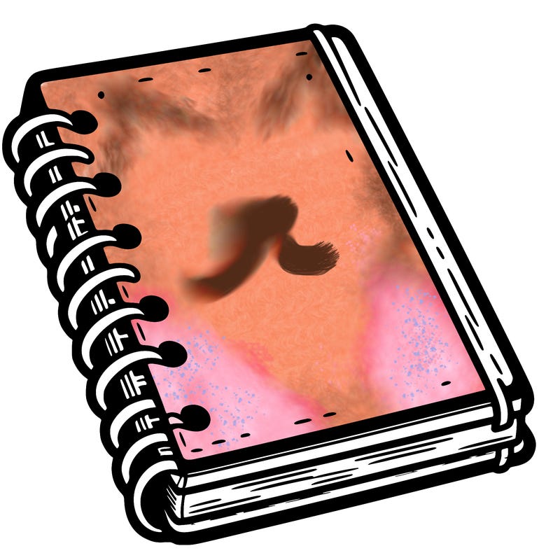 notebook