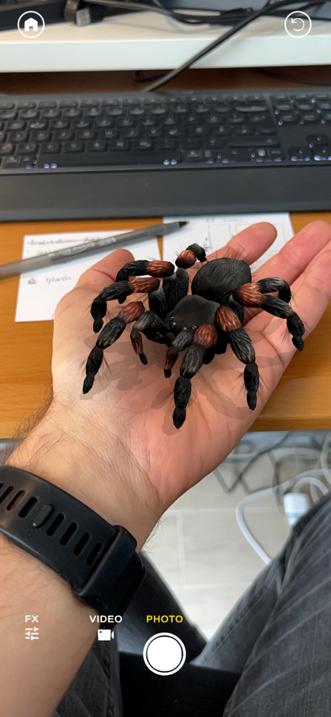 Eine ultra-realistische 3D-Spinne, die in Augmented Reality auf einer Hand steht