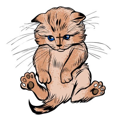 animals_20