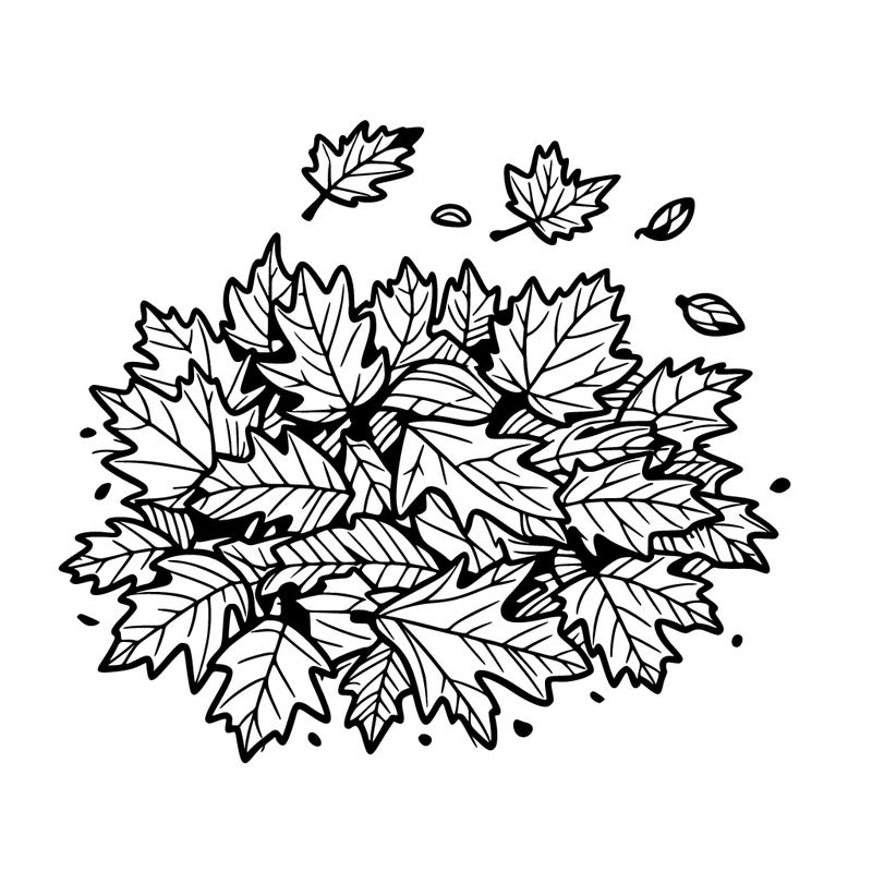 a scattering of fallen autumn leaves captures the album’s seasonal and reflective qualities%2c emphasizing change and transition.