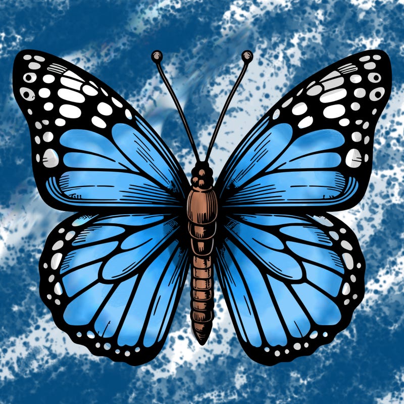 realistic butterfly