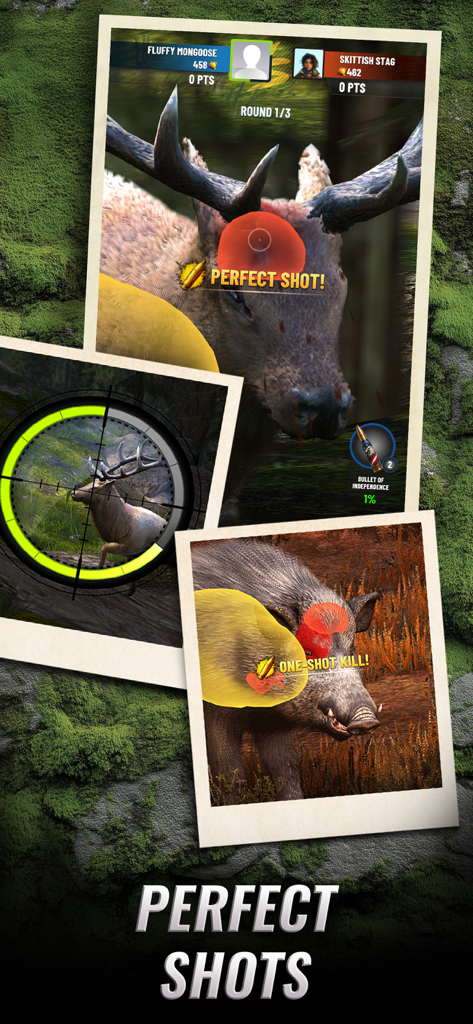 Collage of perfect hunting shots on a deer and wild boar in the Trophy Hunter game