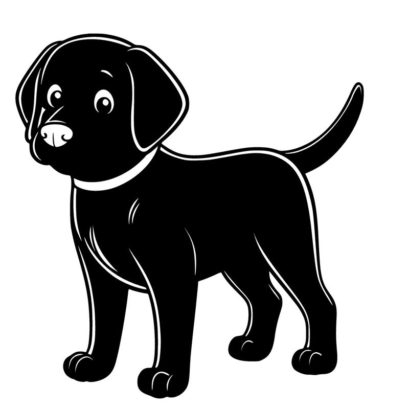 black lab