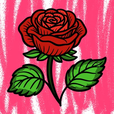 a rose