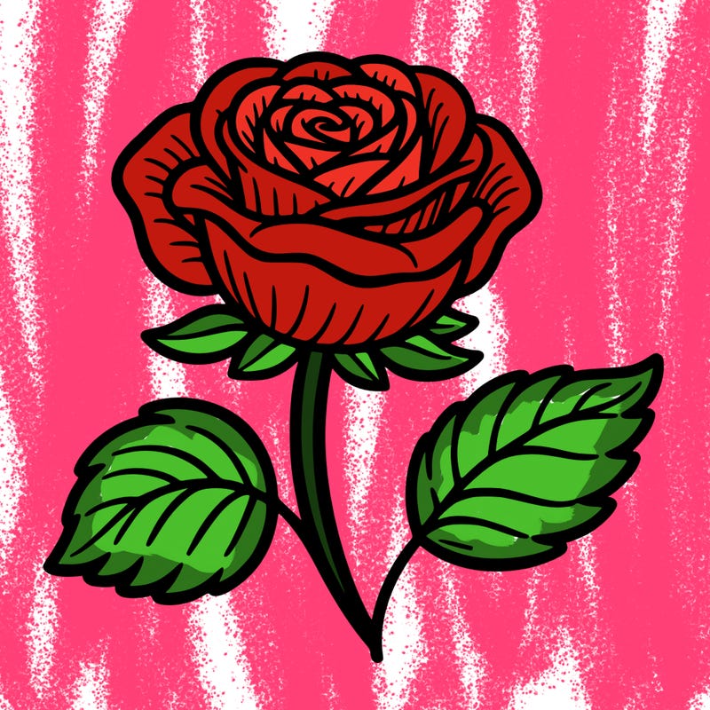 a rose