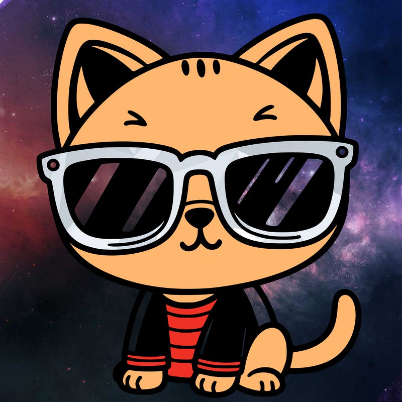 cat with sunglasses