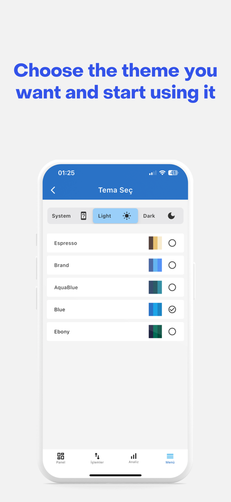 Theme selection screen in the Money Manager app showing various color options and mode settings