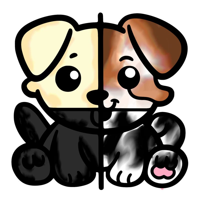 split into fourths dog