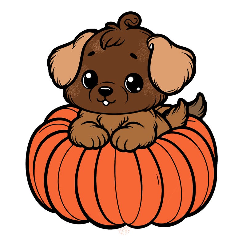 cute little puppy in a pumpkin