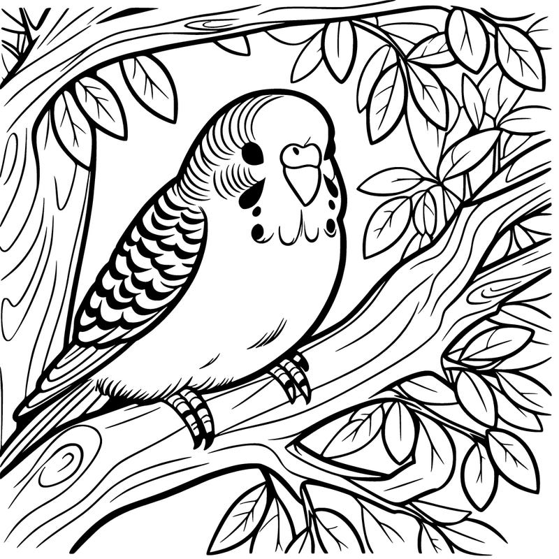 budgerigar in a tree