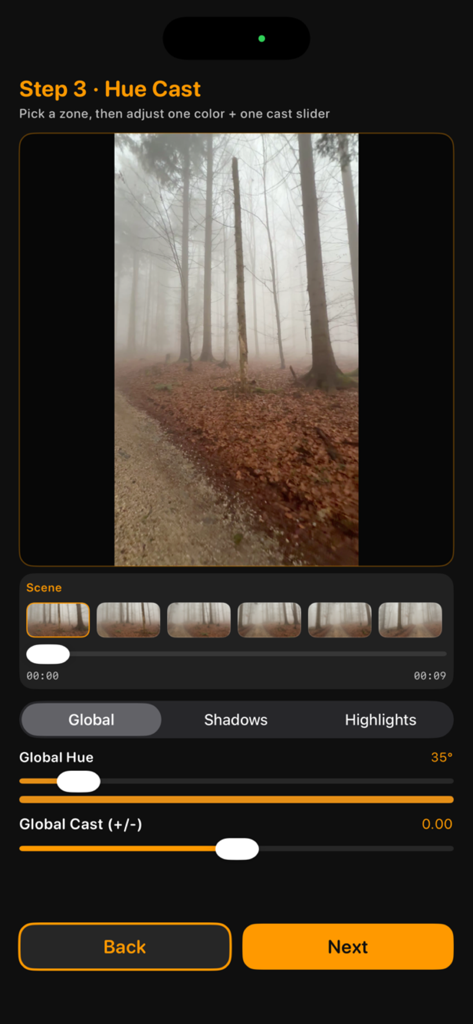 Cinerec - Cinerec app interface showing Step 3 Hue Cast color grading sliders for cinematic video editing.
