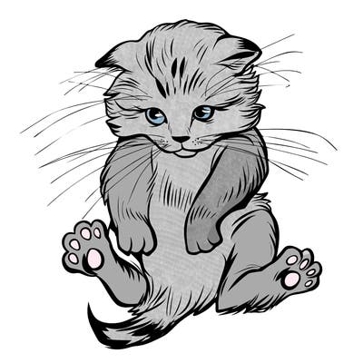 animals_20