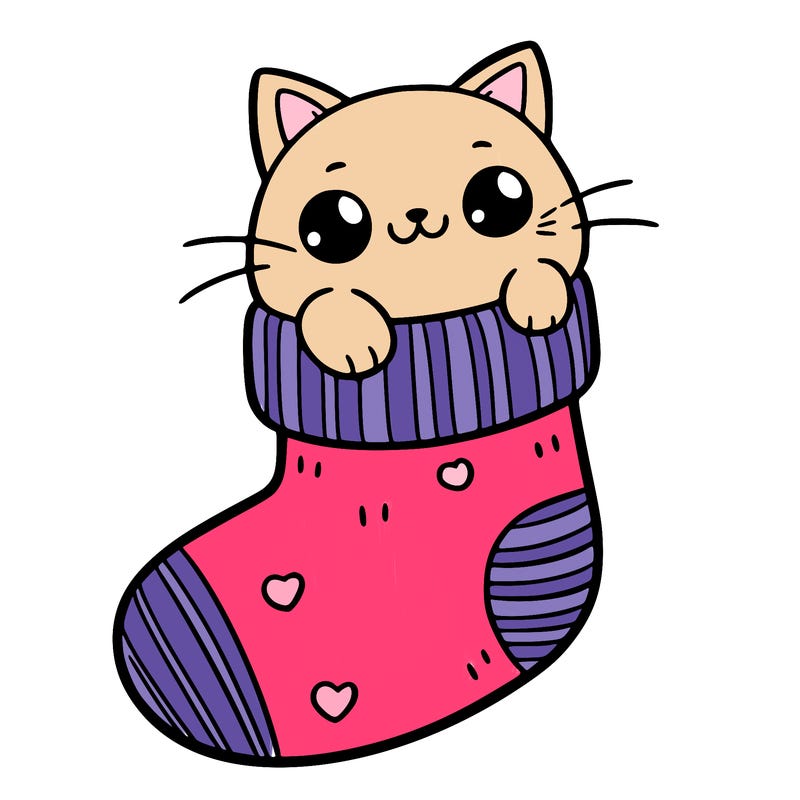 cute cat in a sock