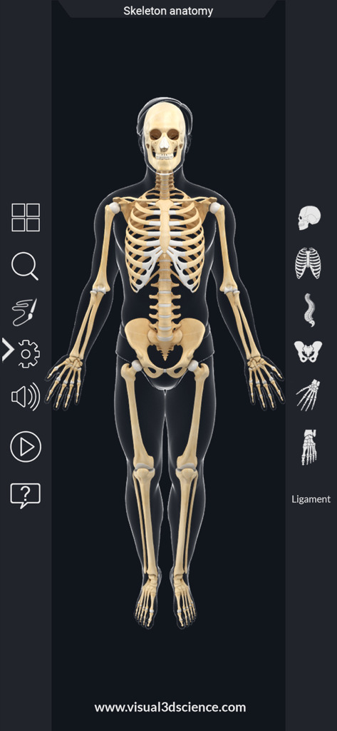Modelo 3D completo del esqueleto humano dentro de la interfaz de una aplicación de estudio médico
