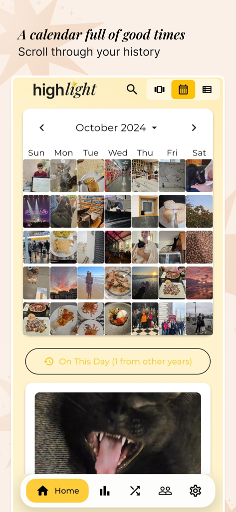 A photo calendar view in the Highlight app showing daily journal entries