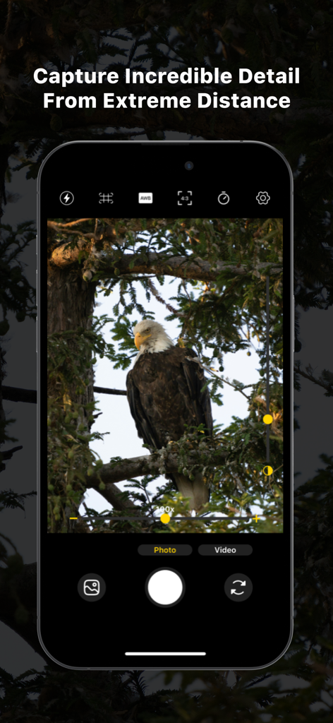 Interfaz de cámara de smartphone que muestra un águila calva con zoom 100x en un árbol