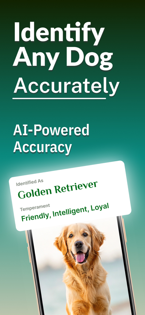 Dog Breed Identifier: Dog Care - Dog Breed Identifier app interface showing a Golden Retriever identification and temperament traits.