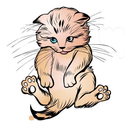 animals_20