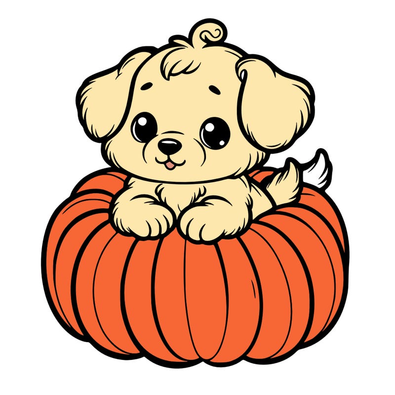 cute little puppy in a pumpkin