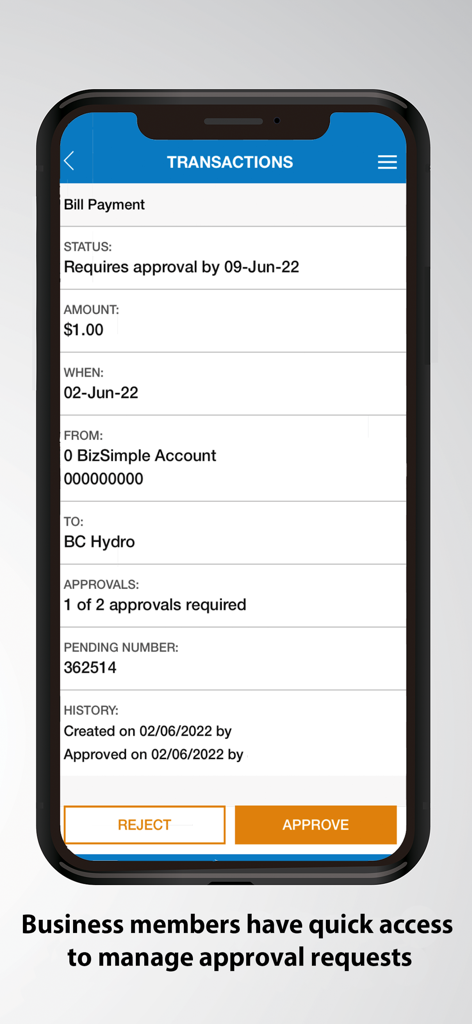 Valley First mobile app business transaction approval screen showing a pending bill payment request