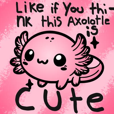 cute easy baby axolotl