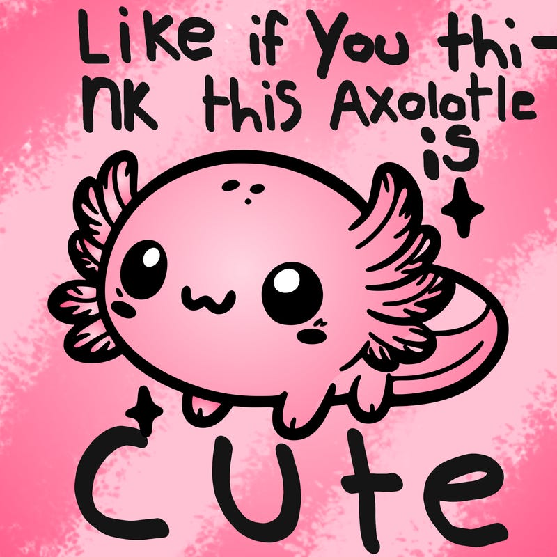 cute easy baby axolotl