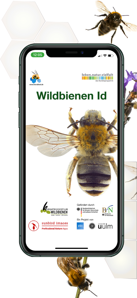 Startbildschirm der Wildbienen Id App mit einem Makrobild einer Biene und Logos von wissenschaftlichen Partnern.