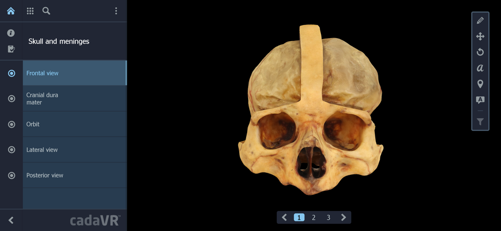 cadaVR anatomy app interface showing a 3D photogrammetric model of a human skull in frontal view