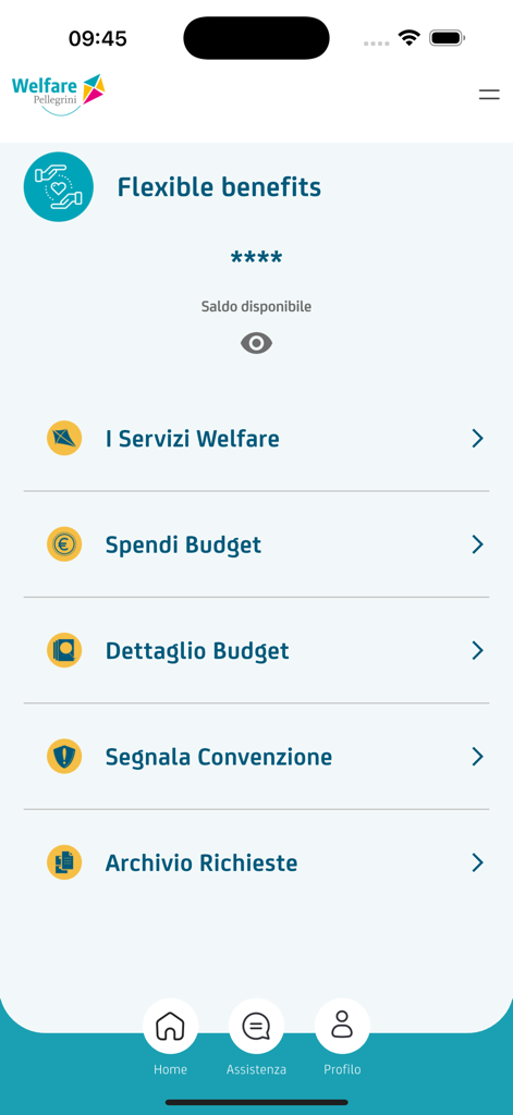 Pellegrini Card - Interface of the Pellegrini Card app showing flexible benefits options and available balance menu