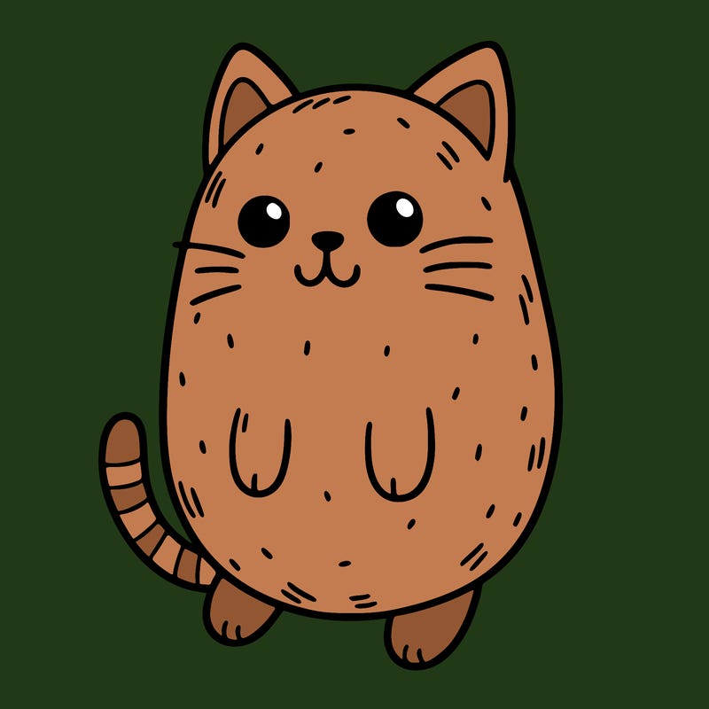 cat made out of a potato