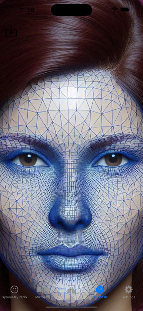 A 3D wireframe mesh overlaid on a face for symmetry analysis in the Facial Symmetry app