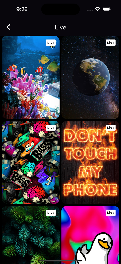 Video To Live Wallpaper 4K HD - Una selección de fondos de pantalla animados con escenas submarinas, espacio, graffiti y texto creativo.