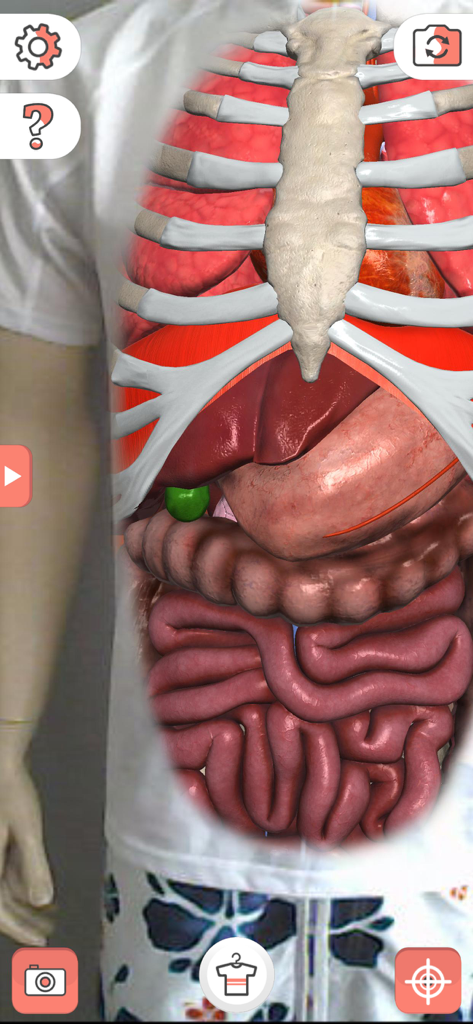 Una vista 3D de realidad aumentada de órganos internos humanos superpuesta en una camiseta blanca usando la app Camiseta Mágica