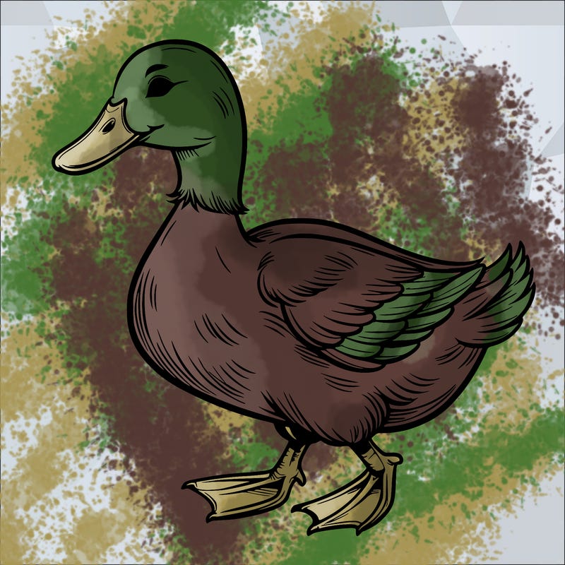 realistic duck