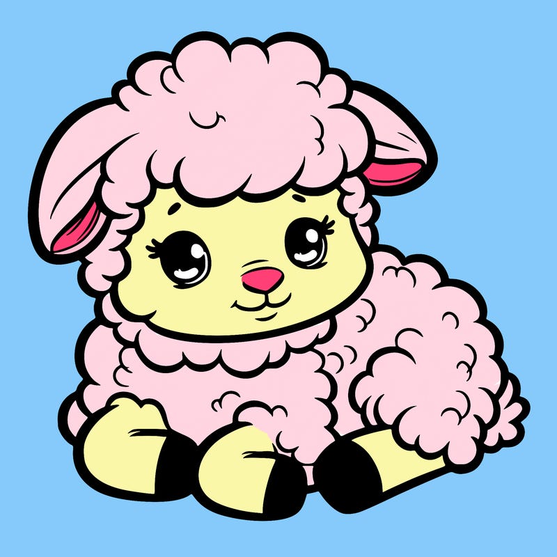 a baby sheep