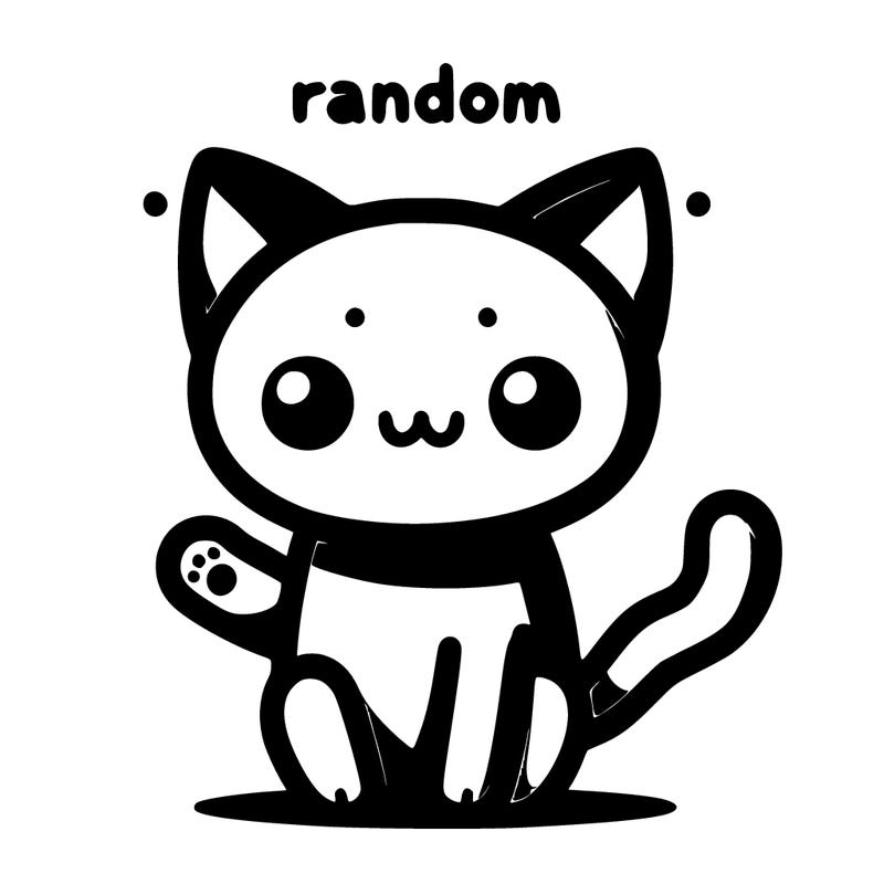 random cat