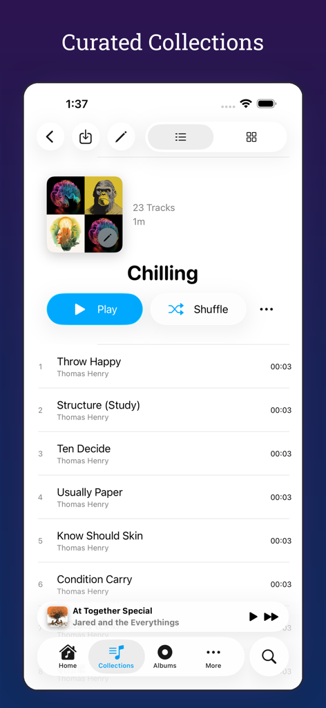 MiniMoon Music - La interfaz de la aplicación MiniMoon Music mostrando una colección de música curada llamada Relajación con una lista de canciones.