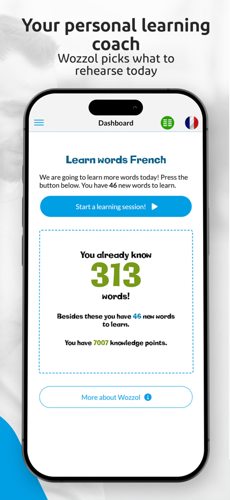 Learn vocabulary with Wozzol - Tableau de bord de l'application Wozzol montrant la progression de l'apprentissage du vocabulaire français et le nombre de mots