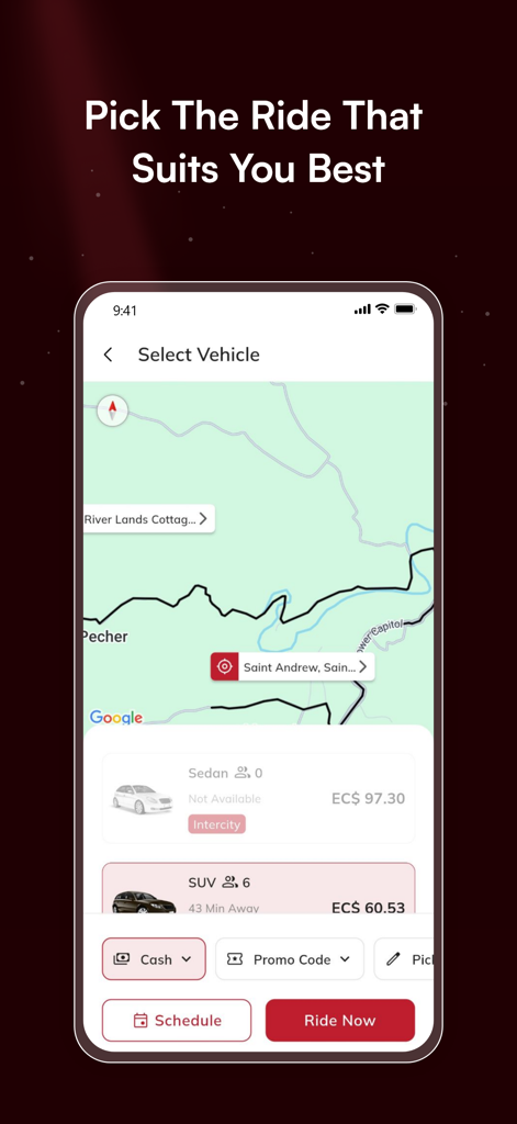 Ryde Go - Ryde Go app interface for picking a ride type