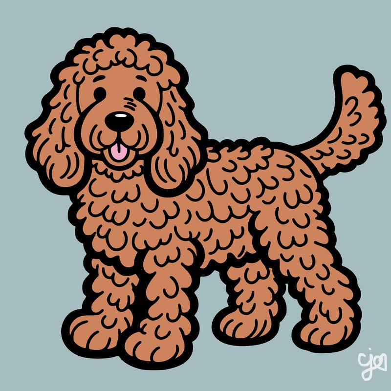 golden doodle dog