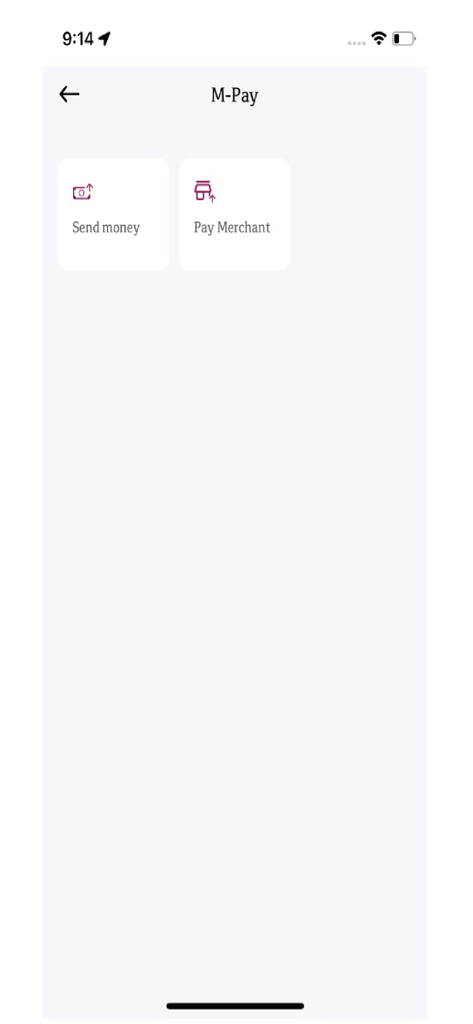 QNB Pay Wallet - QNB Pay Wallet M-Pay interface with options to send money or pay a merchant