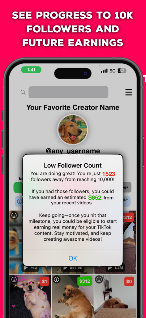 Screenshot of the TikEarnings app showing potential revenue estimates and progress towards the 10,000 follower milestone on TikTok