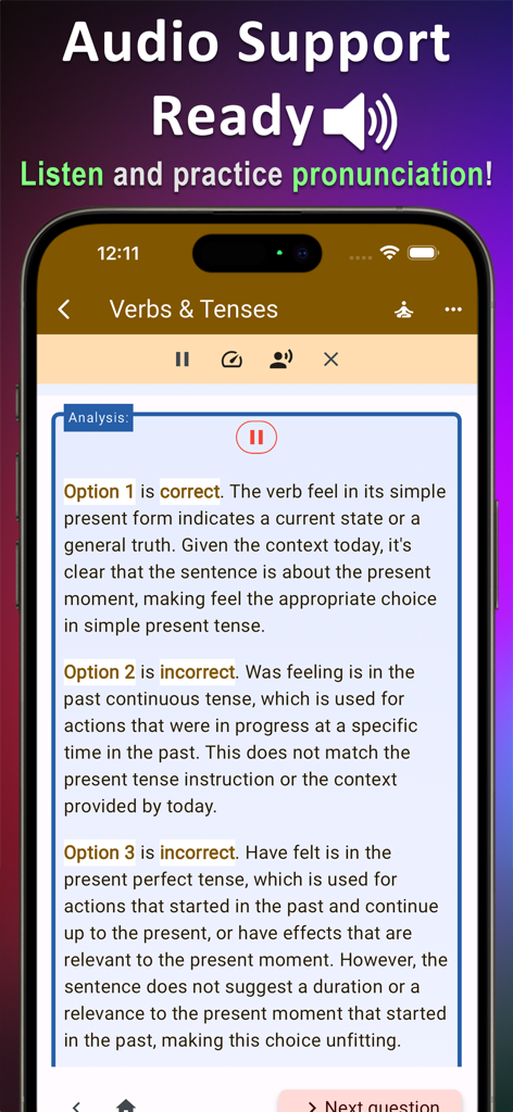 English Grammar Expert AI - English grammar app interface with audio pronunciation and detailed answer analysis