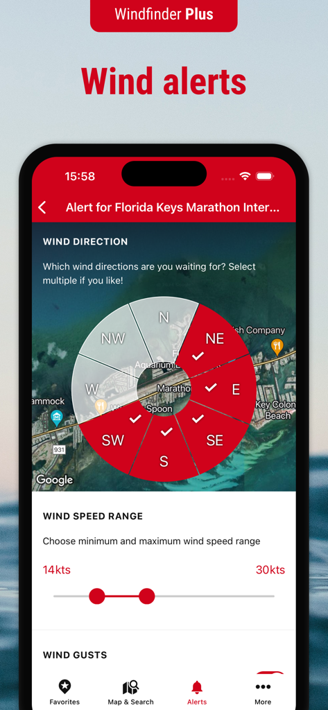 Windfinder Pro: Wind & Weather - A screenshot of the Windfinder Pro app showing the interface for setting up custom wind direction and speed alerts