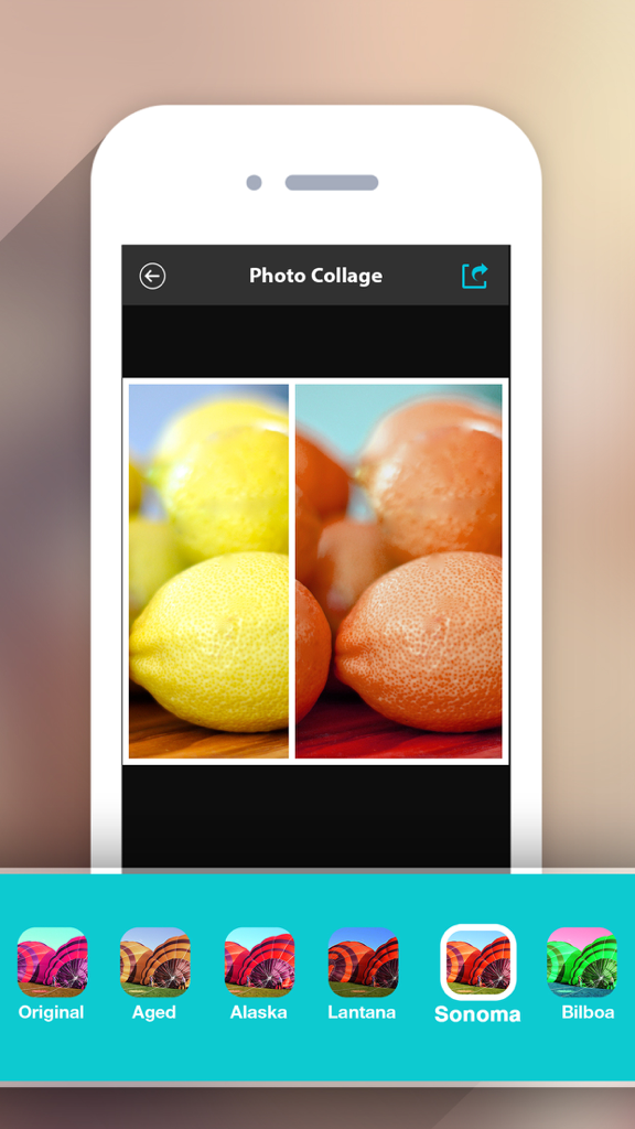 La aplicación Photo Collage HD Pro muestra un editor de cuadrícula de dos fotos con una selección de filtros de color en la parte inferior