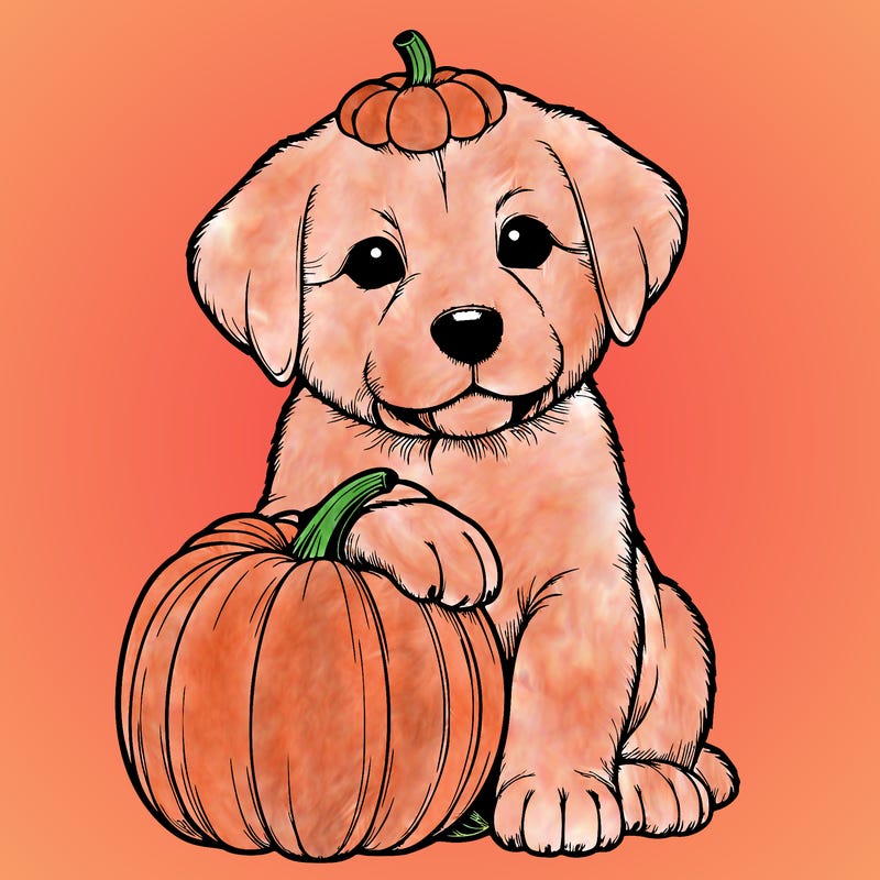 a realistic puppywith a pumpkin on his head