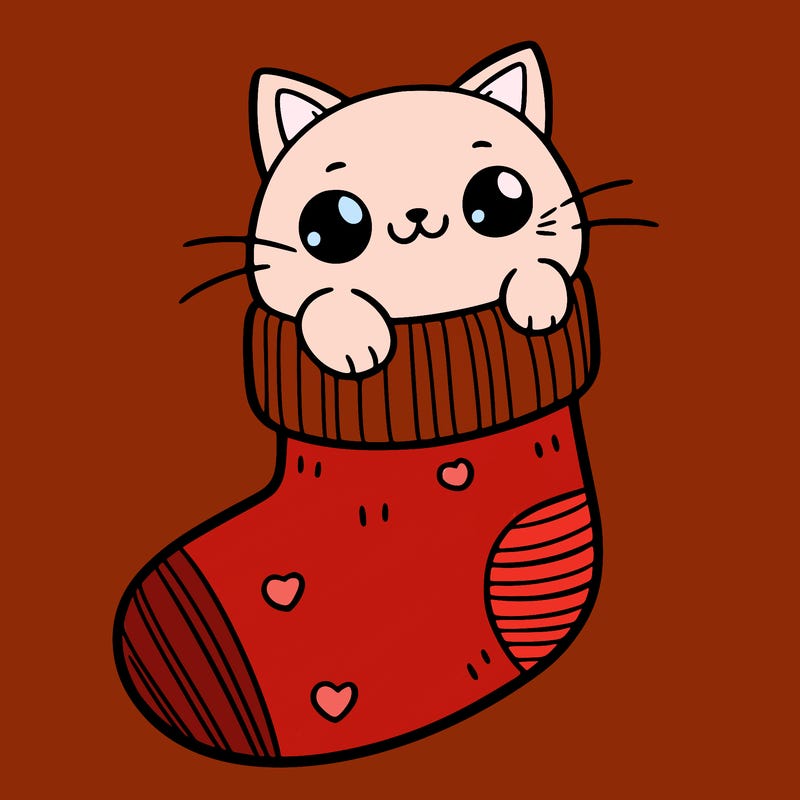 cute cat in a sock